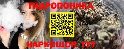 a pvp Будённовск